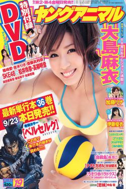 清平乐电视剧免费观看全集