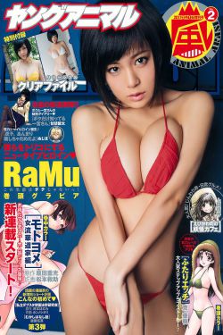 三妻四妾免费观看完整版高清